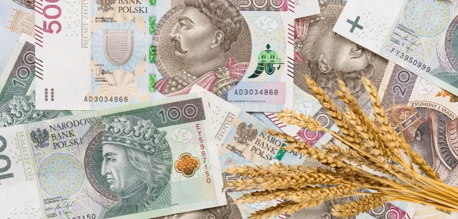 Ile kosztuje tona pszenicy w skupie? Sprawdź ceny i zmiany!