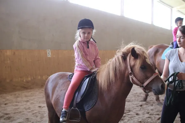 Stadnina koni w Udorzu: Co musisz wiedzieć o usługach i historii