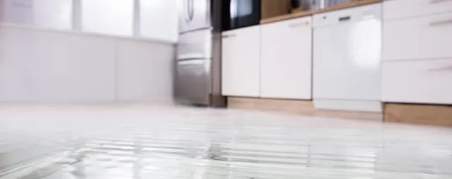 Jak osuszyć mieszkanie po zalaniu - uniknij pleśni i zniszczeń