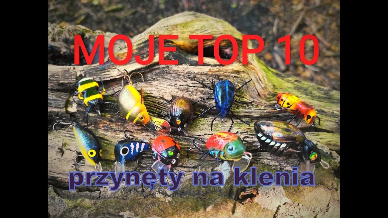 Skuteczne przynęty na klenia – wybierz najlepsze opcje na ryby