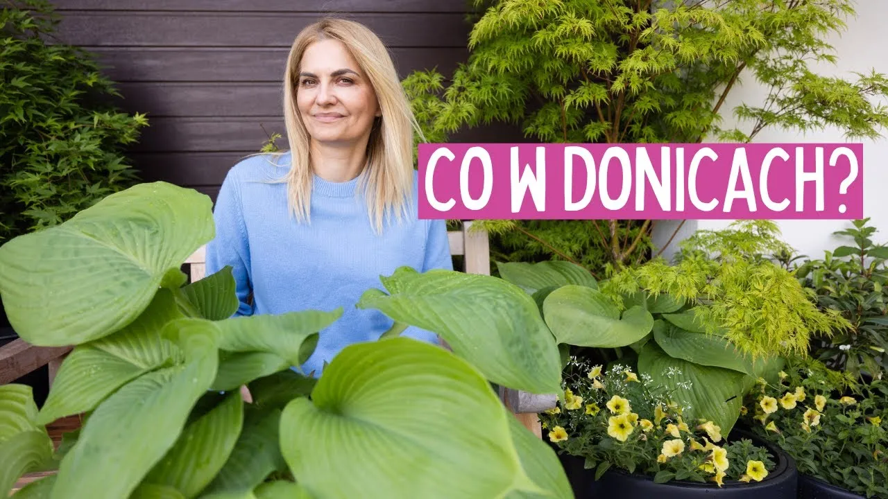 Co wsadzić do dużej donicy, aby stworzyć piękną dekorację?