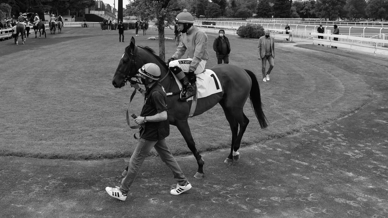 Najważniejsze wydarzenia jeździectwa na Eurosport – co musisz wiedzieć Najważniejsze wydarzenia jeździectwa na Eurosport – co musisz wiedzieć