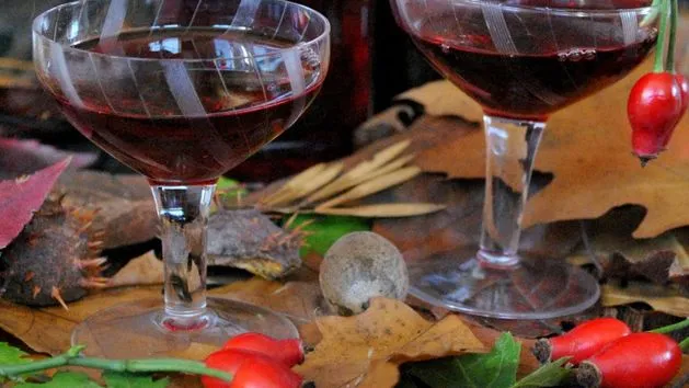 Jak zrobić nalewkę z dzikiej róży - prosty przepis na wyjątkowy trunek