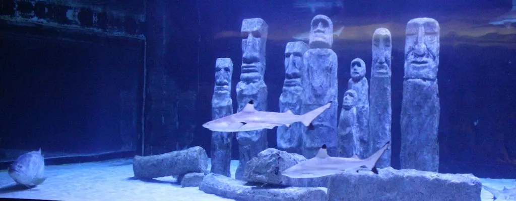 Alanya oceanarium: co warto zobaczyć i jak zaplanować wizytę