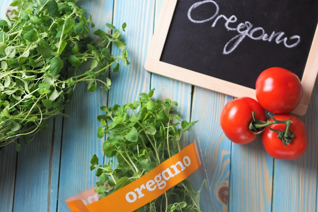 Oregano do pizzy brak? Sprawdź te zamienniki! Oregano do pizzy brak? Sprawdź te zamienniki!