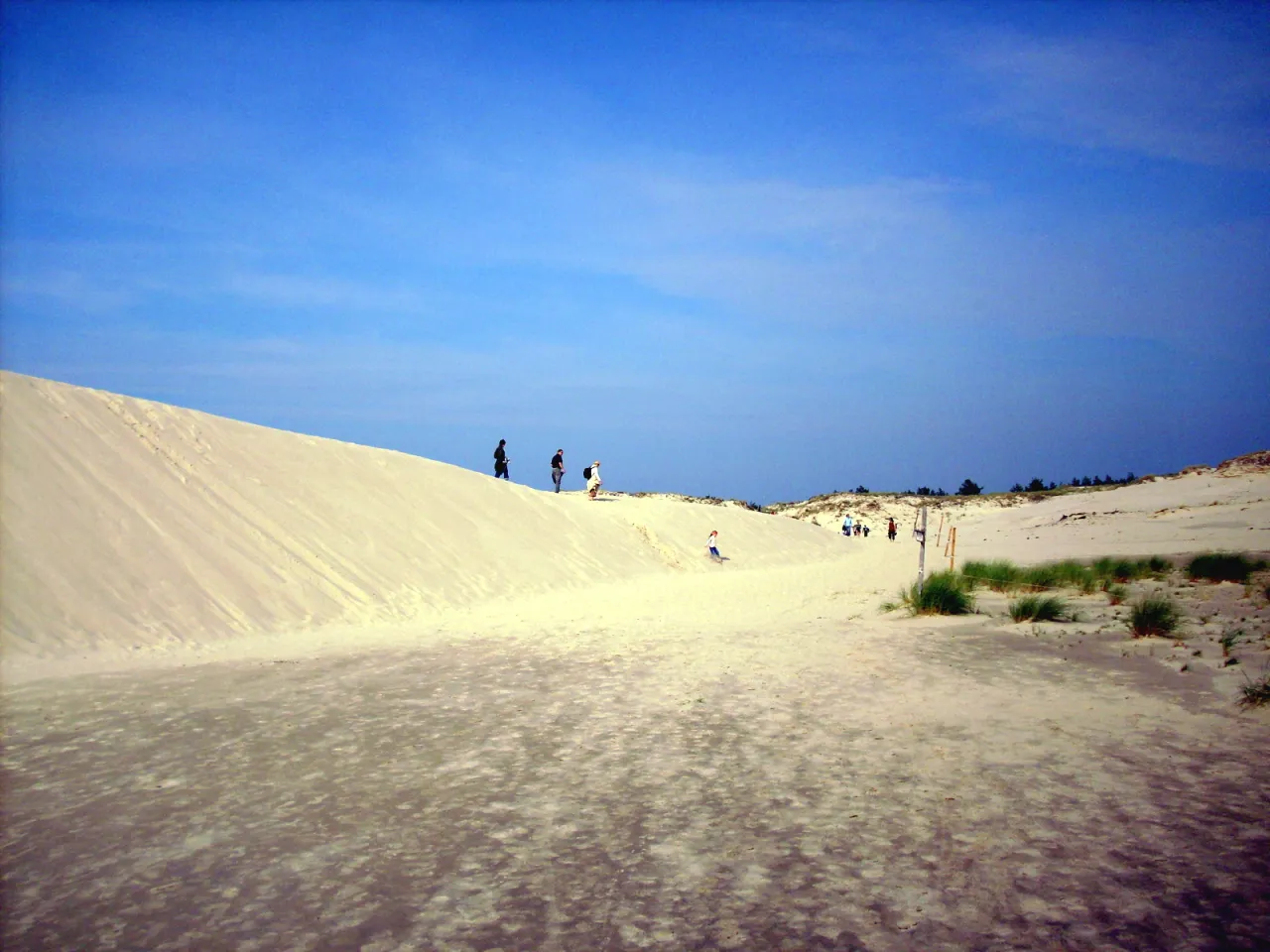 Ruchome Wydmy w Łebie – niezapomniana atrakcja Słowińskiego Parku
