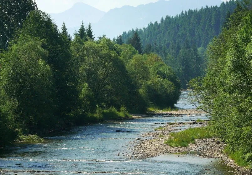 Ciekawe atrakcje w Czarnym Dunajcu, które musisz zobaczyć