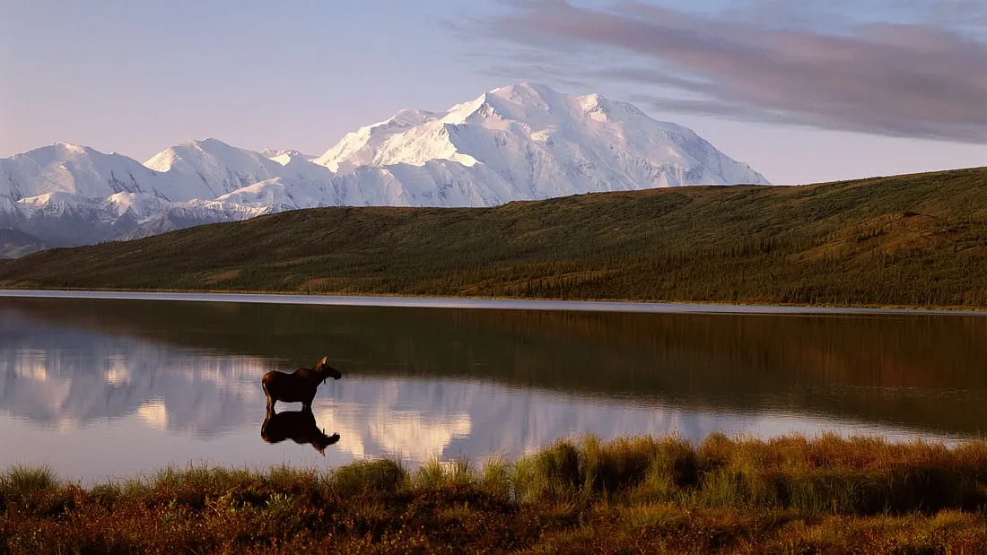 Denali: Höchster Berg der USA Fakten, Besteigung & Nationalpark