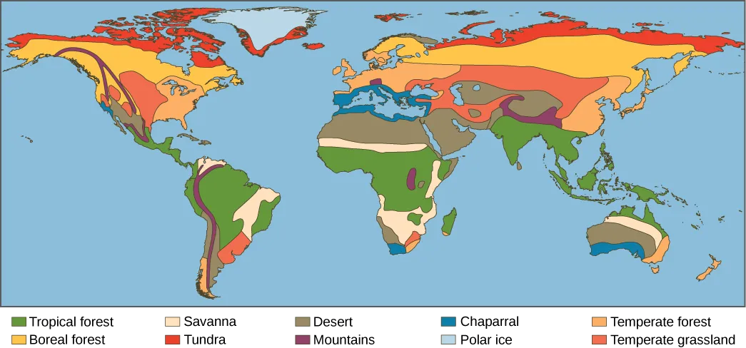Co kształtuje klimat Afryki? Kluczowe czynniki wpływające na różnorodność