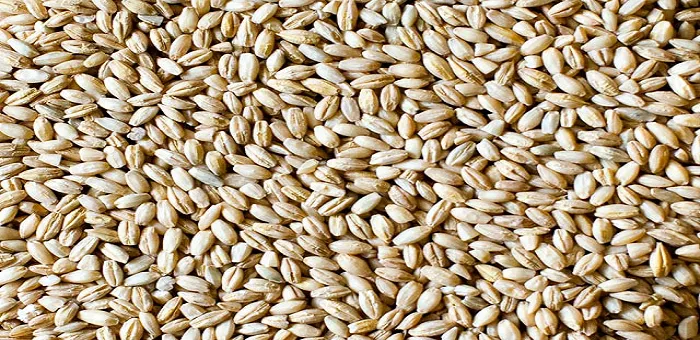 Jak zrobić pęczak na ryby - skuteczne metody, które przyciągną ryby