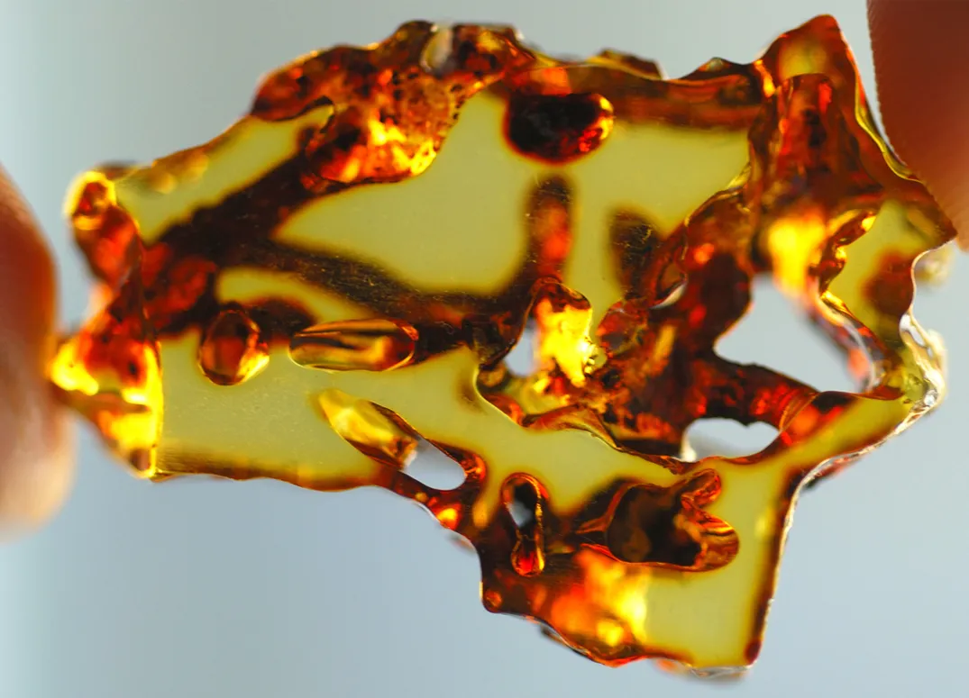 Jak znaleźć bursztyn nad Bałtykiem: najlepsze miejsca i porady na sukces