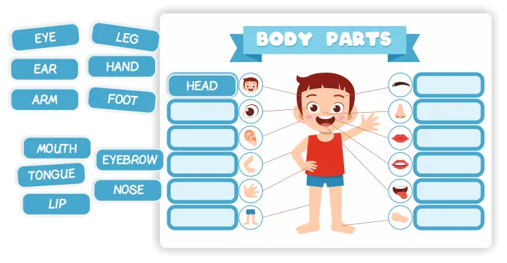 Skróty i terminy z "CIA" po angielsku - co warto wiedzieć o skrótach i terminach