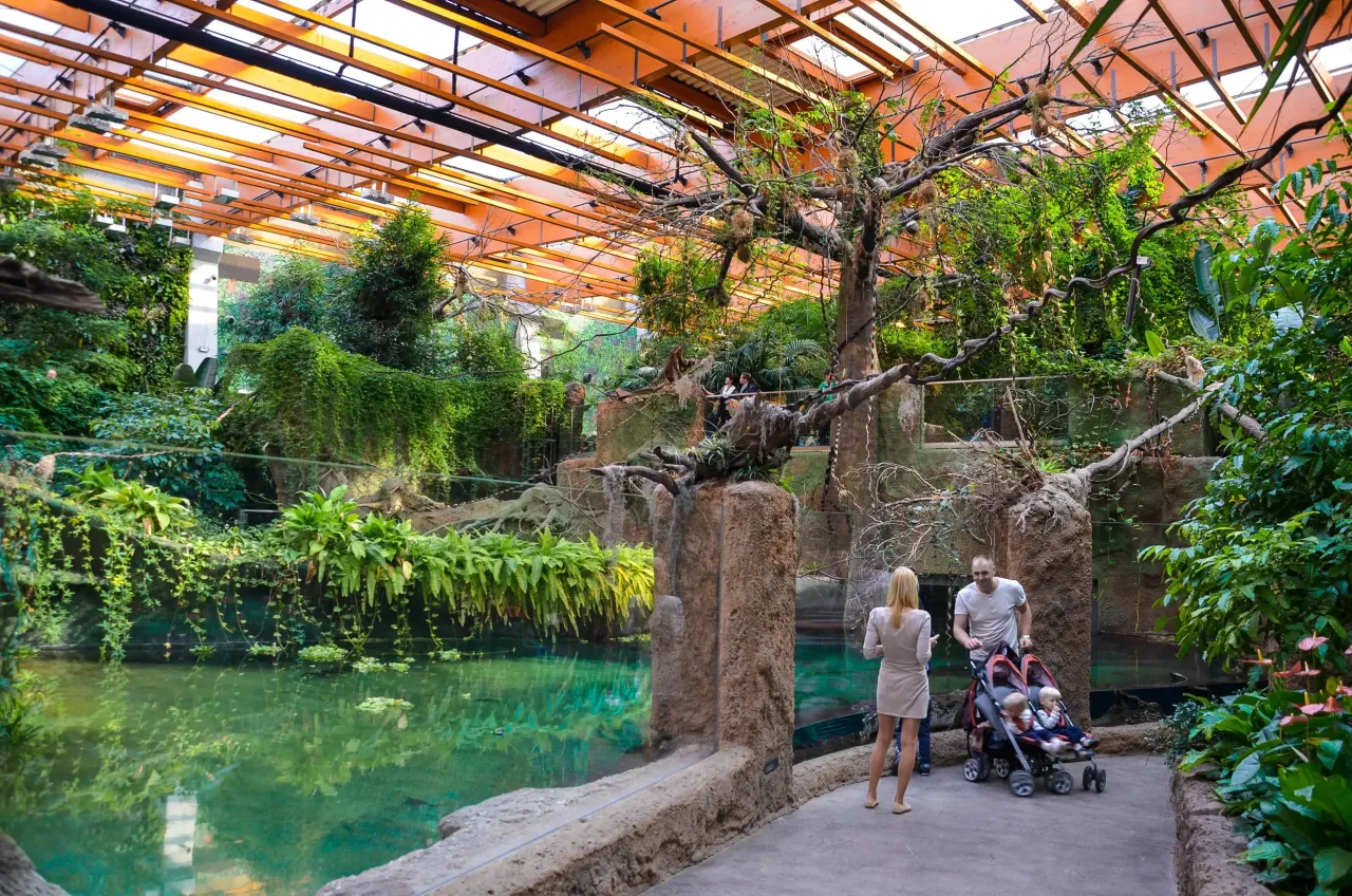 Afrykarium Wrocław - odkryj niezwykłe życie morskie i godziny otwarcia