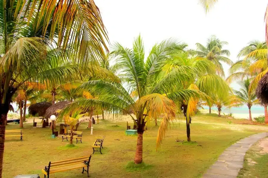 Kiedy jechać na Kubę, by uniknąć deszczu i cieszyć się słońcem