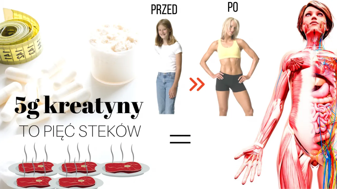 Czy brać kreatynę w dni bez treningu? Oto, co musisz wiedzieć