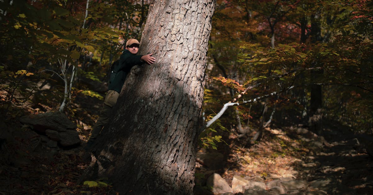 Gdzie kupić paysafecard? Sklepy, kwoty i sposoby płatności