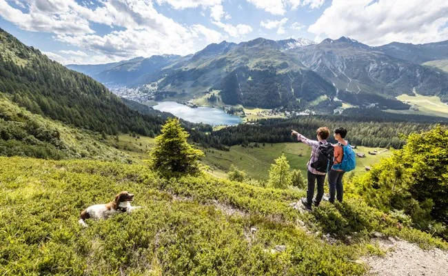 Najlepsze atrakcje w Davos: co warto zobaczyć latem i zimą