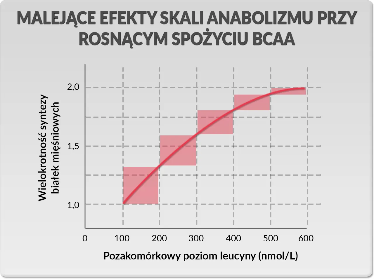 BCAA: co daje? Korzyści, dawkowanie i kiedy warto?