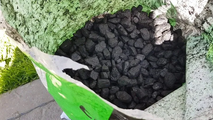 Ekogroszek PGG: Jakie są zalety i wady tego opału w sezonie grzewczym?