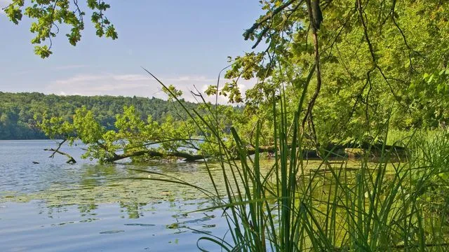 Lauenburgische Seen: Ihr Urlaubsparadies Aktiv, Kultur, Natur