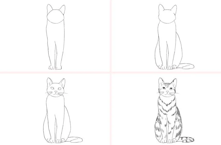 Katzen zeichnen mit Bleistift: Schritt-für-Schritt-Anleitung