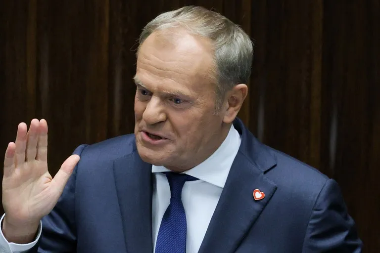 Jakie wykształcenie ma Donald Tusk? Zaskakujące fakty o jego studiach