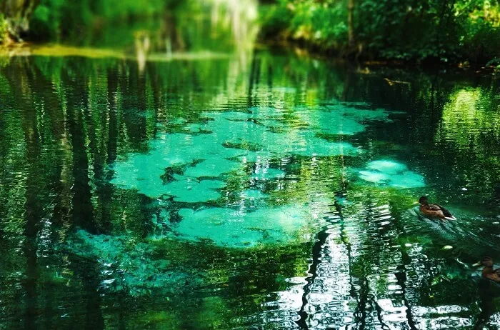 Atrakcje w okolicach Łodzi, które musisz zobaczyć i przeżyć