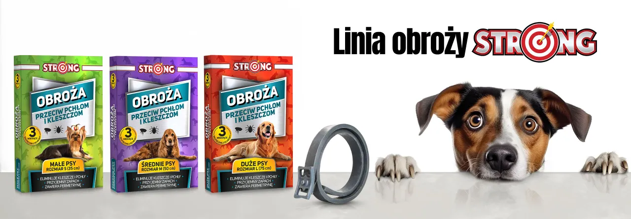 Obroża czy krople na kleszcze dla psa – co wybrać dla bezpieczeństwa?