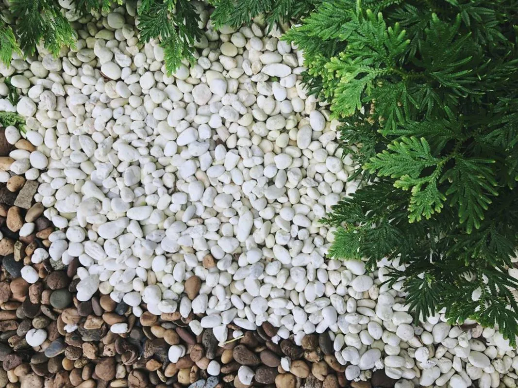 Jak wysypać żwir w ogrodzie, aby uniknąć typowych błędów?