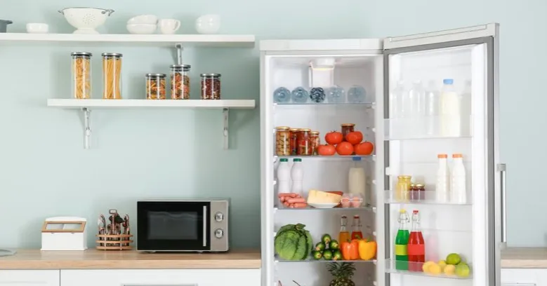 Jaką lodówkę wybrać, aby uniknąć rozczarowania i zaoszczędzić?