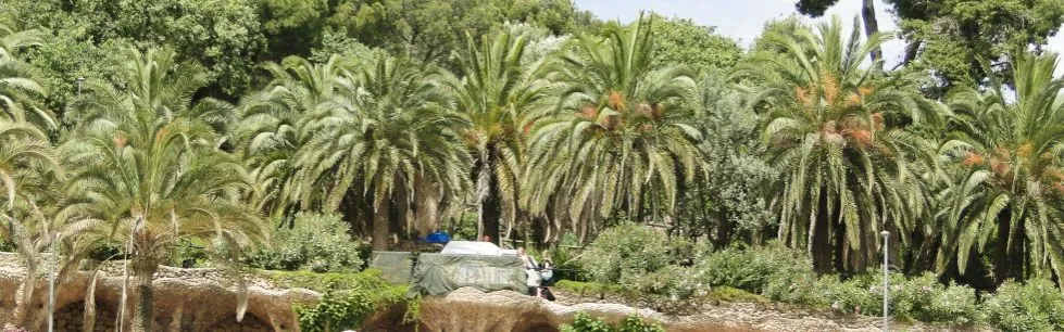 Gdzie można lecieć bez paszportu? Odkryj łatwe kierunki podróży