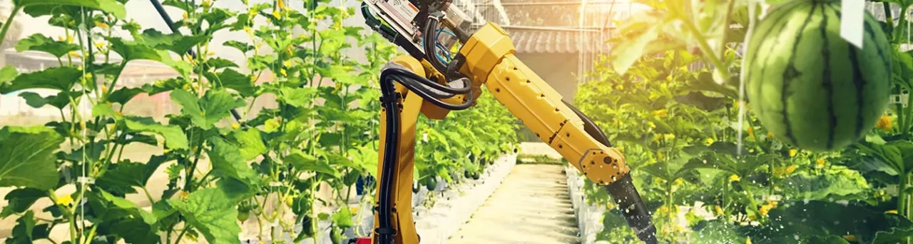 Sztuczna inteligencja jak zacząć – uniknij najczęstszych błędów