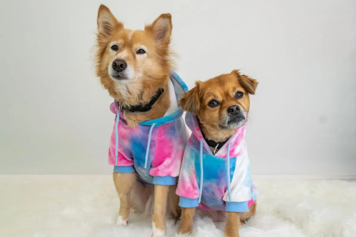 Jak zrobić ubranko dla psa z bluzy, aby zapewnić mu komfort i styl