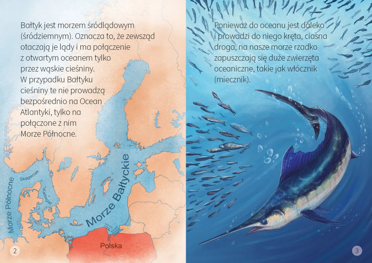 Czy Bałtyk ma połączenie z oceanem? Poznaj drogę!