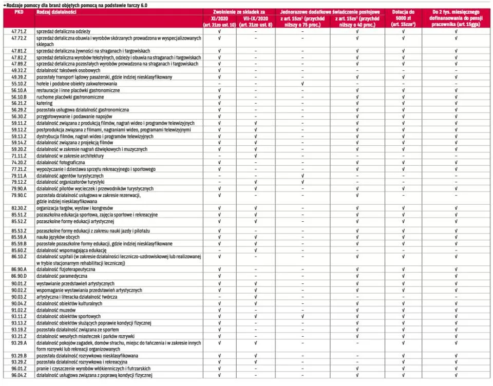Jakie kody pkd tarcza 6.0? Sprawdź, czy twój biznes kwalifikuje się do wsparcia
