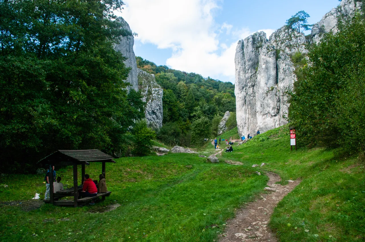 Gdzie w Wąwozie Bolechowickim znajdziesz punkt widokowy marzeń?