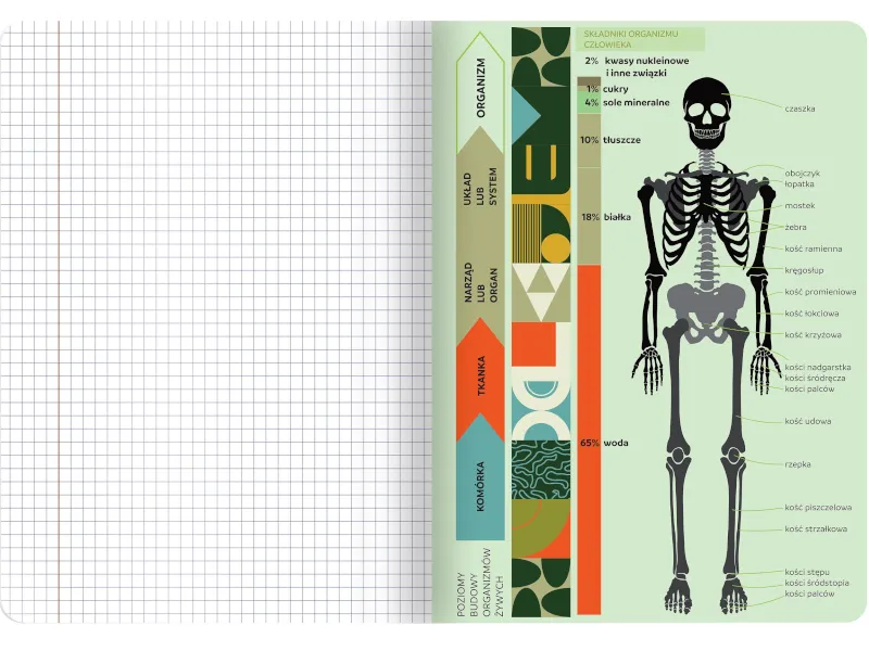 Najlepszy zeszyt do biologii - wybierz idealny notatnik do nauki