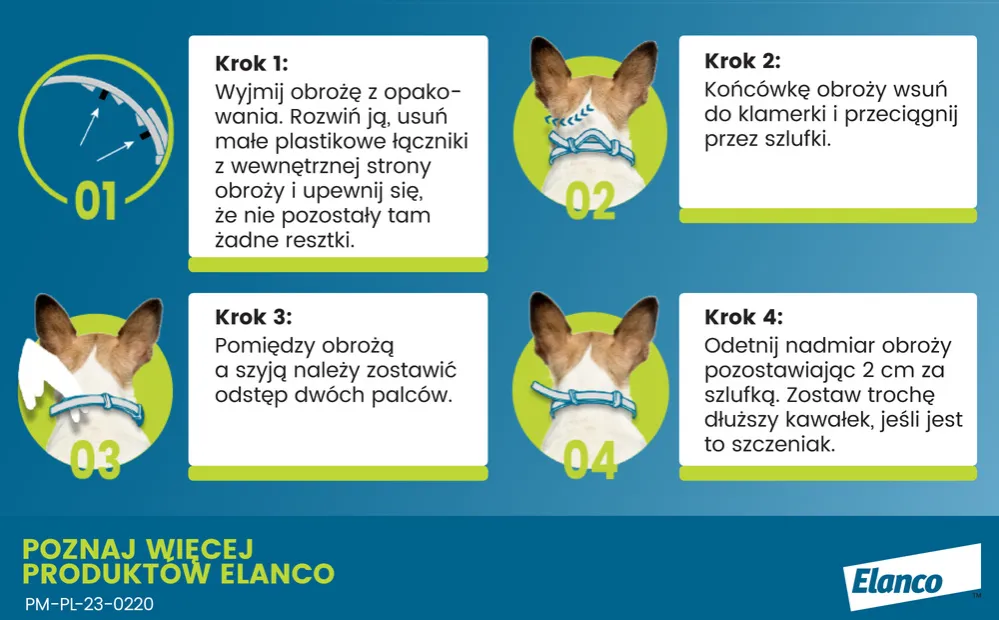 Jak działa obroża Foresto i jak skutecznie chroni przed pasożytami