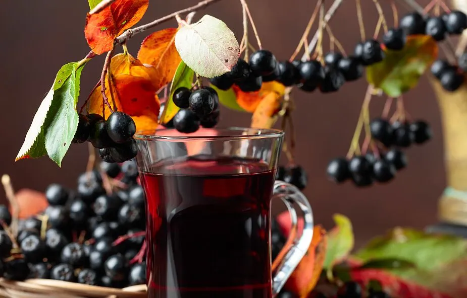 Jak zrobić sok z aronii - prosta receptura na pyszny i zdrowy napój