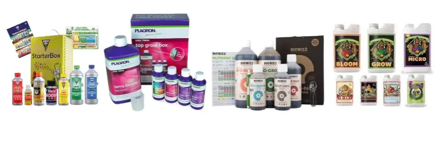 Jaki nawóz pod marihuanę? Odkryj najlepsze opcje dla udanej uprawy