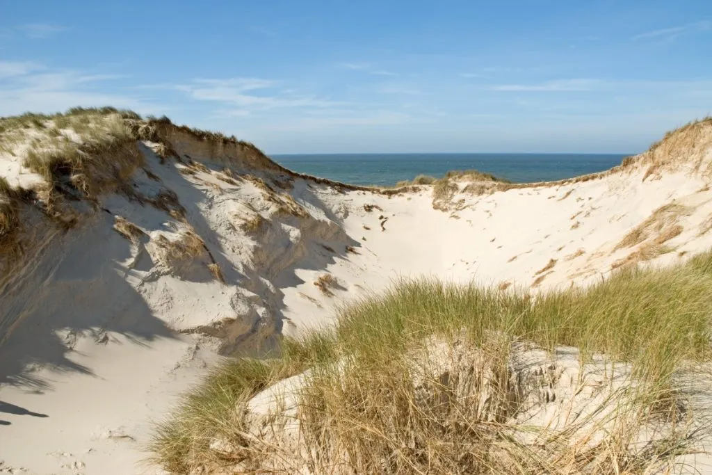 Jak powstały wydmy w Łebie? Zaskakujące procesy naturalne