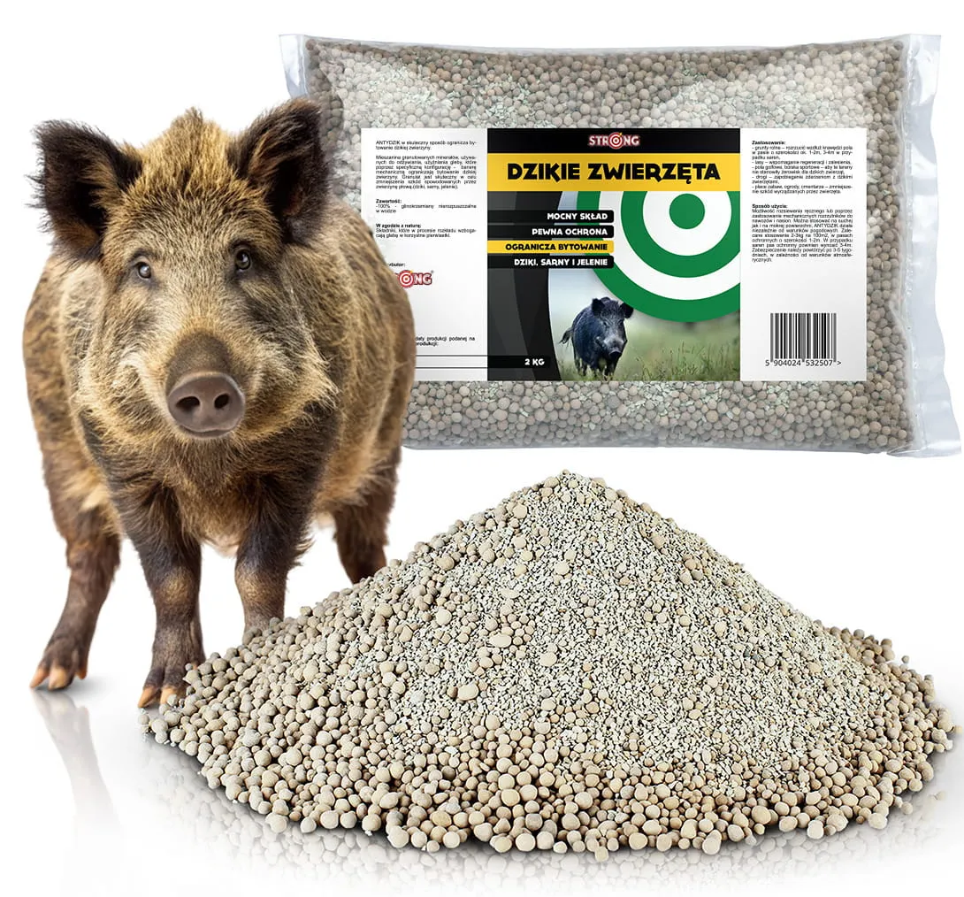 Skuteczne sposoby na odstraszenie dzików w lesie i uniknięcie zagrożenia