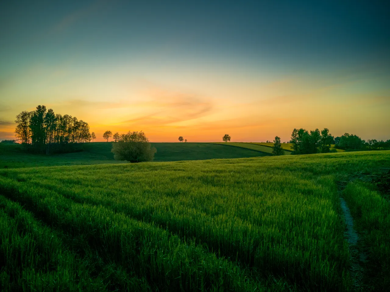 Bliskość przyrody a dobre samopoczucie – co mówi doświadczenie?