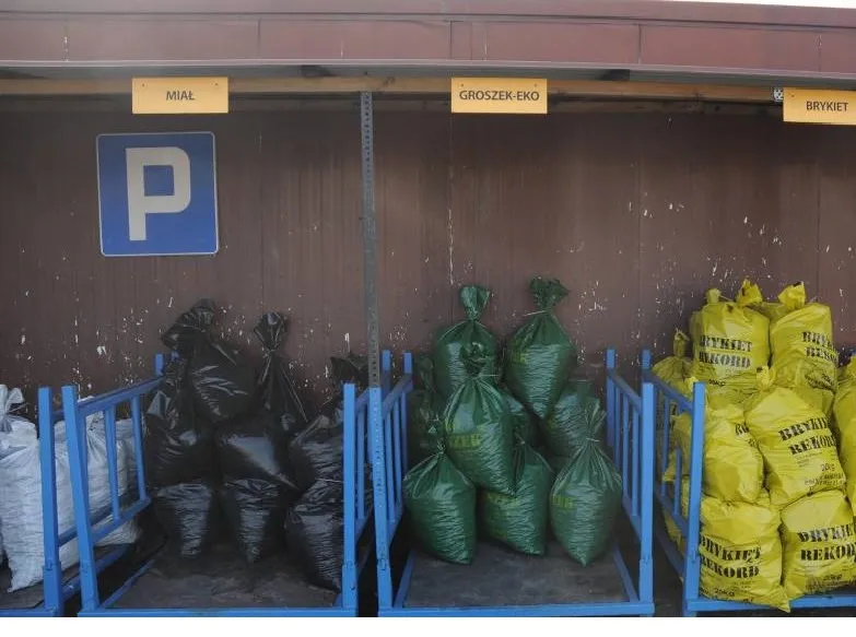 Ile kosztuje ekogroszek w Castoramie? Ceny, które zaskakują