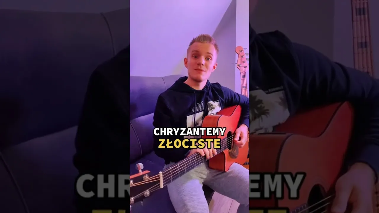 Chryzantemy złociste chwyty gitarowe - łatwe akordy dla każdego gitarzysty
