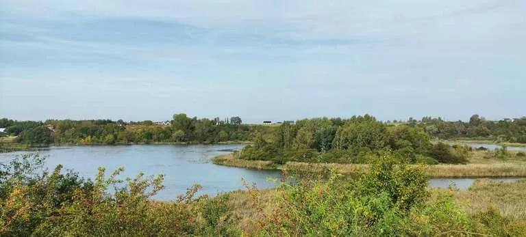 Najlepsze atrakcje w Swarzędzu, które musisz odwiedzić w tym roku