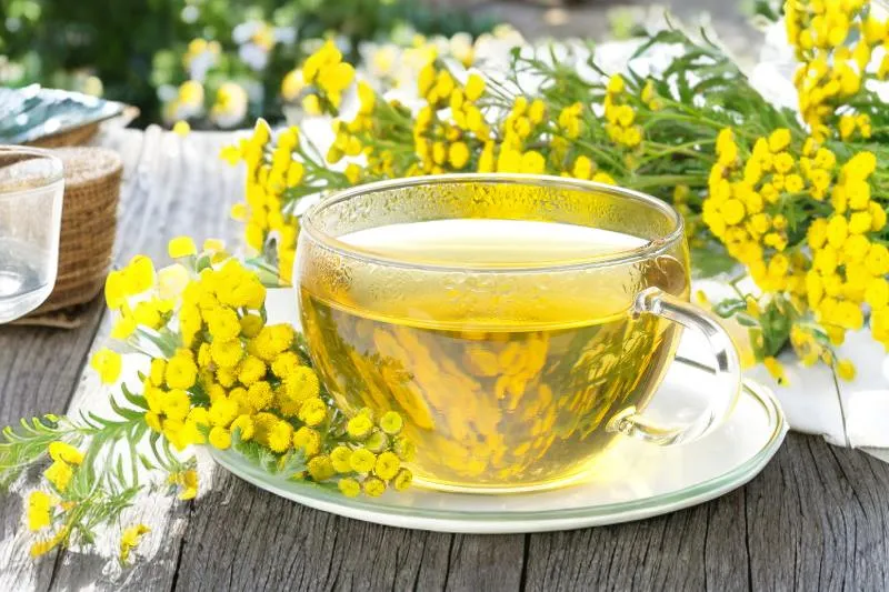 Jaka herbata na ból głowy? Naturalne sposoby na ulgę i relaks