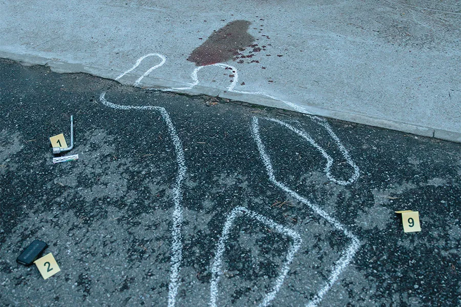 Co robić po kryminalistyce? Zawody, perspektywy i dalsze możliwości rozwoju