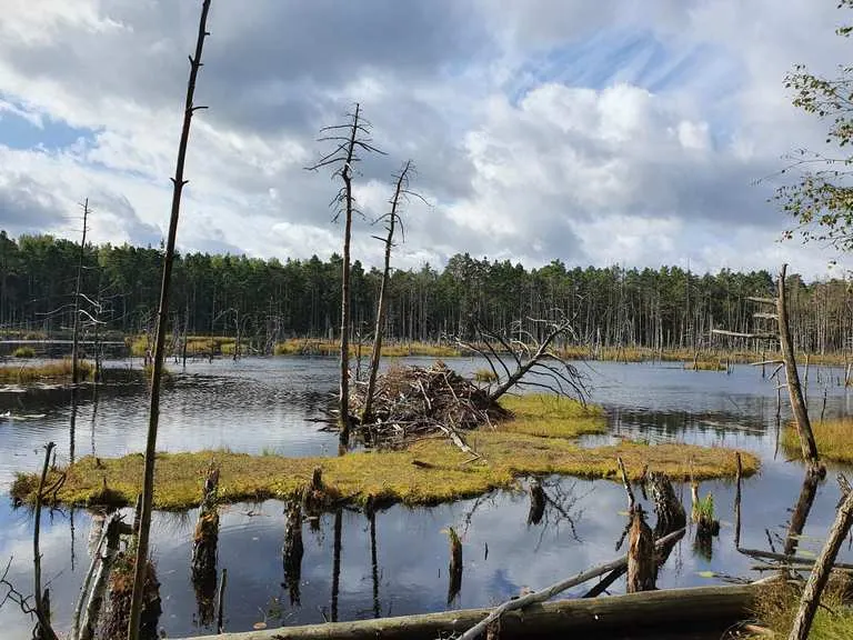 Otwock atrakcje: odkryj najpiękniejsze miejsca i ukryte skarby Otwock atrakcje: odkryj najpiękniejsze miejsca i ukryte skarby