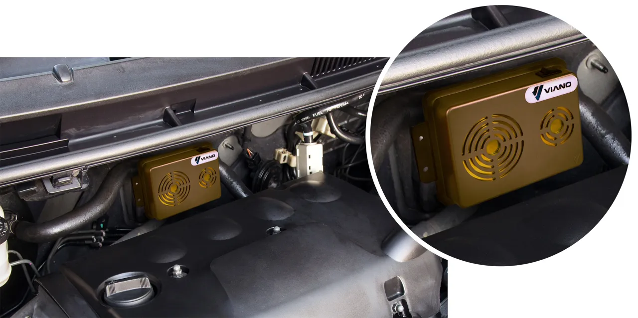 Czy kot odstrasza kunę? Sprawdź, jak chronić dom i auto